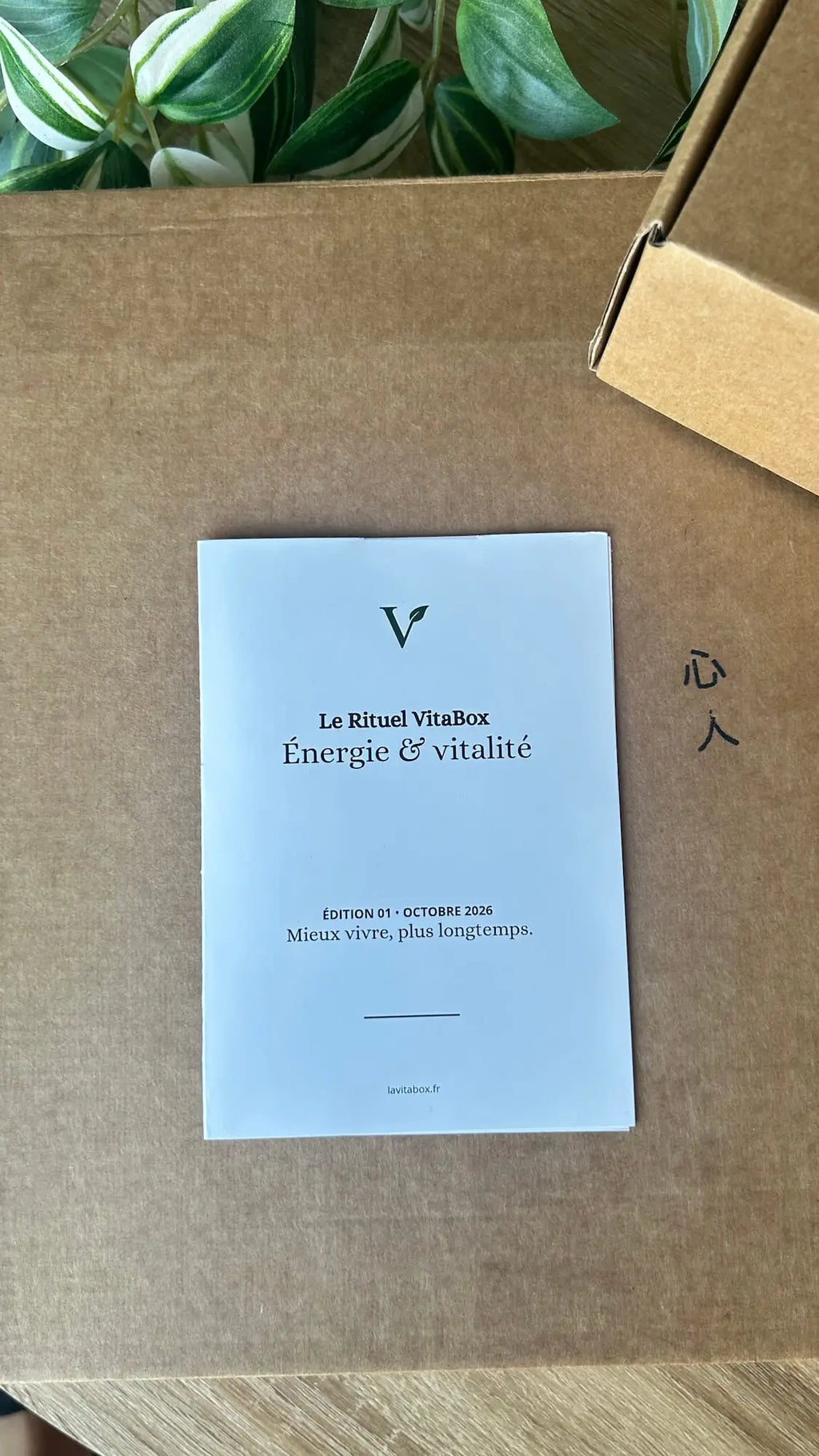 VitaBox mensuel