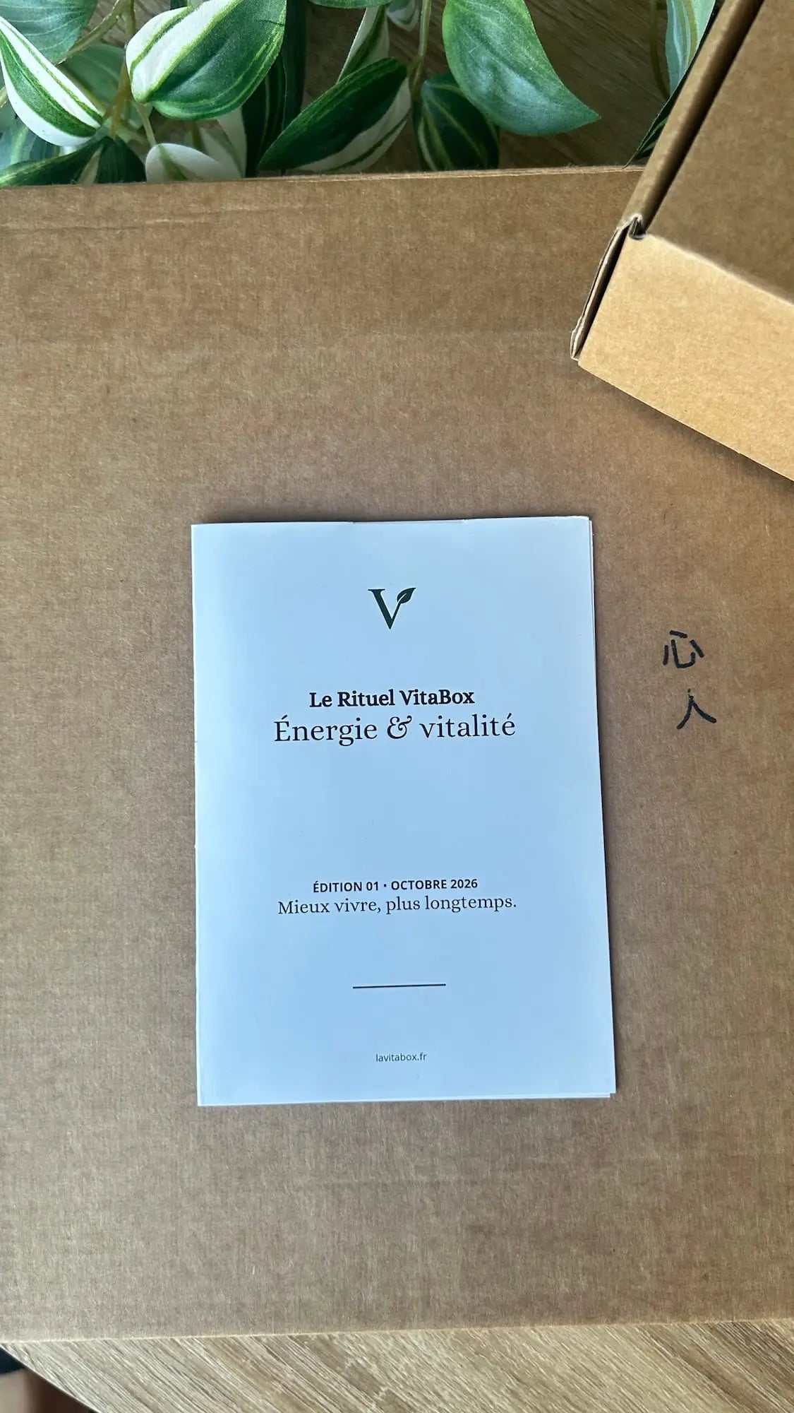 VitaBox mensuel